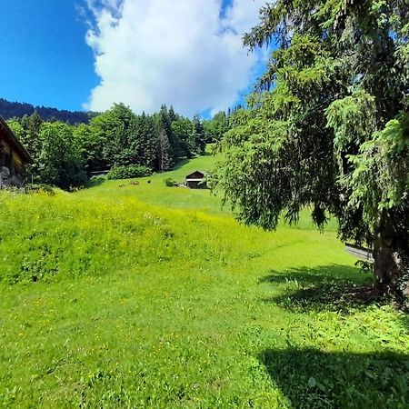 Apartment On The Slopes La Clusaz Εξωτερικό φωτογραφία