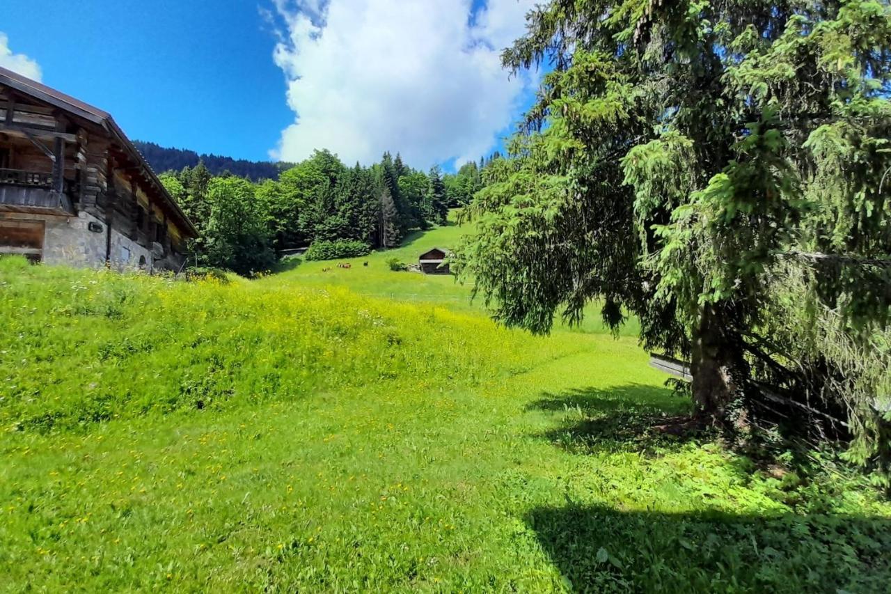 Apartment On The Slopes La Clusaz Εξωτερικό φωτογραφία